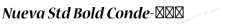 Nueva Std Bold Conde字体转换